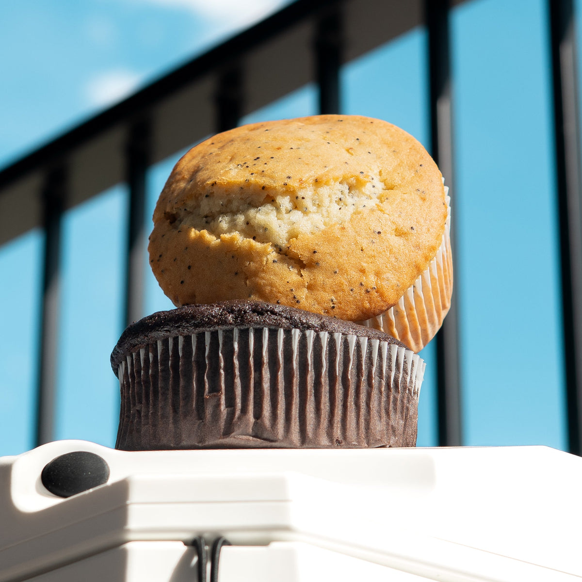 Jumbo Muffins